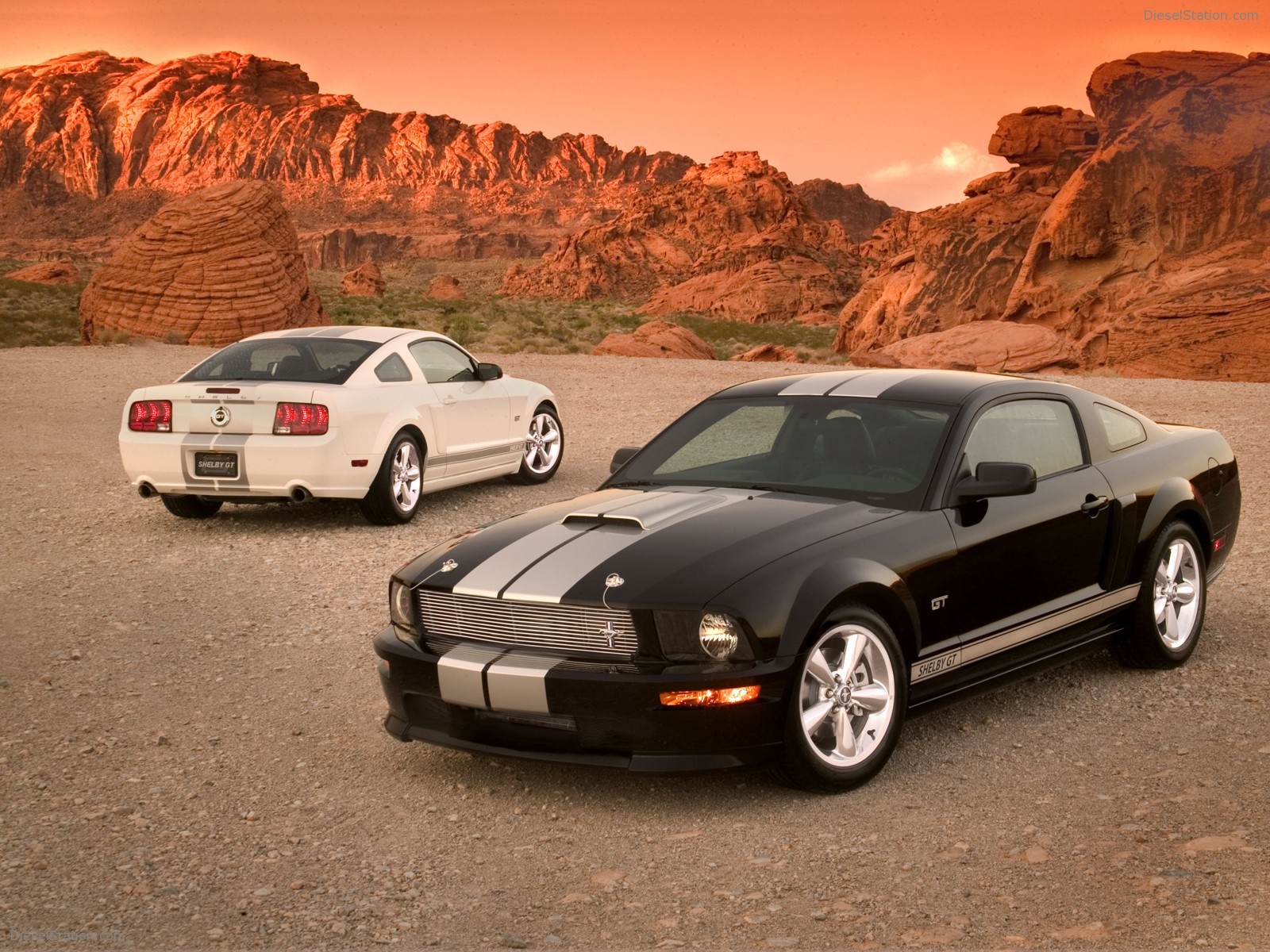Ford Shelby GT